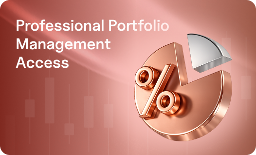 Professional Portfolio Management Access